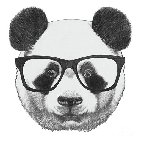 Portrait Of Panda With Glasses Digital Art By Victoria Novak Fine Art