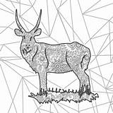 Gemsbok Doodle Antelope sketch template