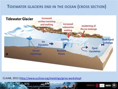 unit  glacier anatomy