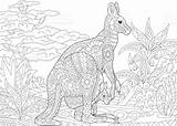 Kangaroo Kangourou Wallaby Zentangle Animal Stiliserade Mandalas Canguros Outback Coloration Coloriage Animales Illustrationen Vektorn Canguro Malen Animalitos Illustrationer Stylisé sketch template