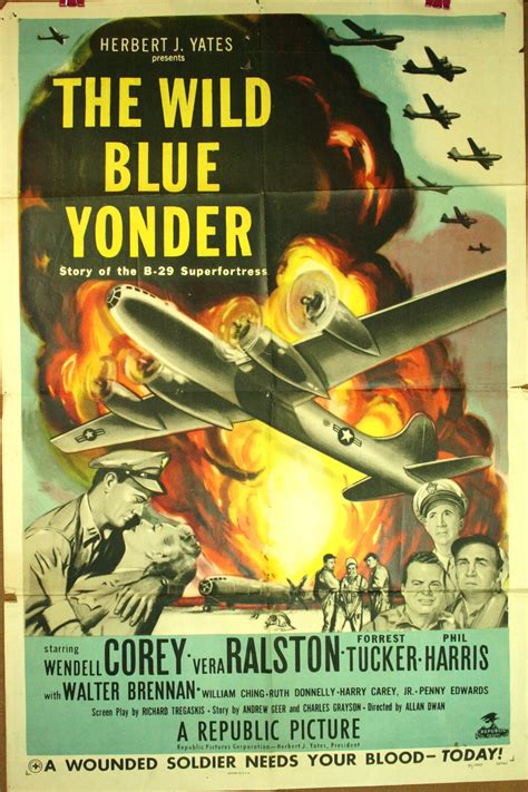 wild blue yonder  sheet  poster