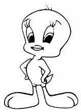 Tweety Colorat Planse Animalute Cliparts Looney Tunes Clipground Procoloring sketch template