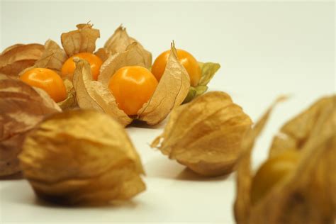 kostenlose foto frucht orange gericht lebensmittel produzieren