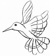 Oiseau Colibri Mouche Gratuit Coloring Coloriages Picaflor Humming Hummingbird Branche Dessins Colibris sketch template