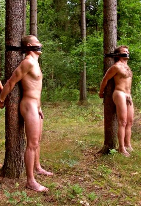 tumblr tied naked to tree