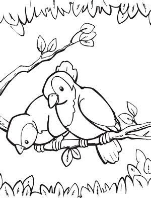 coloring pages spring animals ferrisquinlanjamal