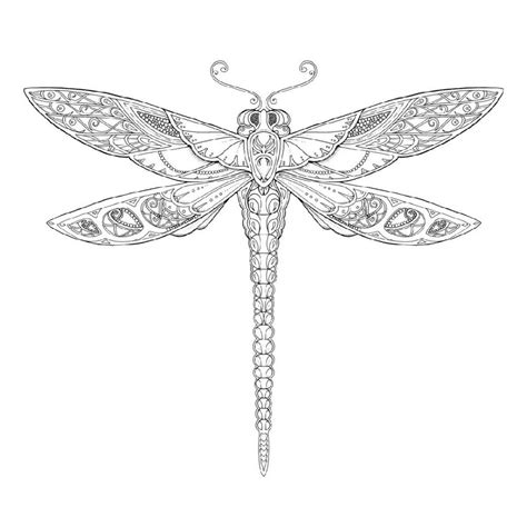 simple  realistic dragonfly coloring pages  coloring