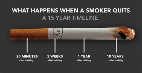 Quitting Smoking Weed Timeline What Happens When You