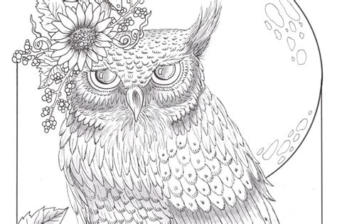 fall owl   color digital coloring page  fall etsy