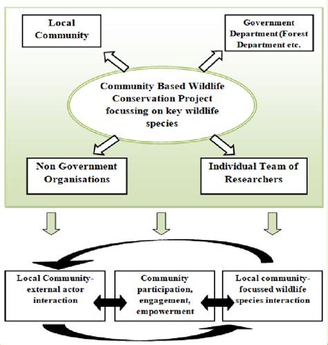 conceptual framework   research  scientific diagram