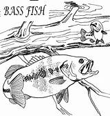 Coloring Pages Bass Fish Fishing Hungry Color Kids Trending Days Last Place Projects sketch template
