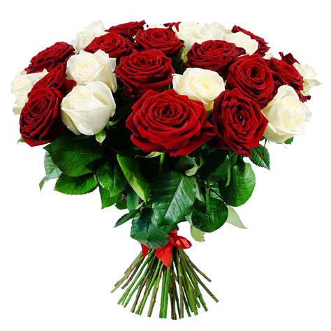 simple love white red roses bouquet floralbash