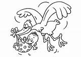 Baby Stork Coloring Large sketch template