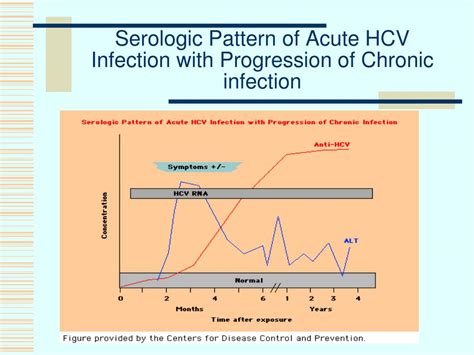 Ppt Viral Hepatitis Powerpoint Presentation Free Download Id 6753279