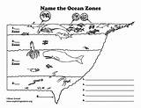 Zones Oceans Zone Px sketch template