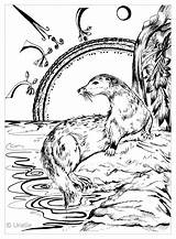 Colorear Otter Loutre Animali Pesci Adulti Fishes Justcolor Fische Erwachsene Peces Malbuch Fur Coloriages Poissons Adulte Adultes Colouring Poisson Nggallery sketch template