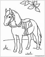 Horse Pages Awesome Coloring Color sketch template