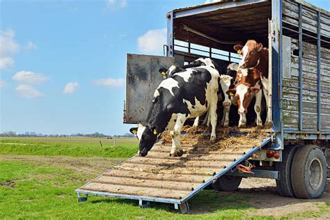 fmcsa clarifies agricultural commodities  livestock definitions