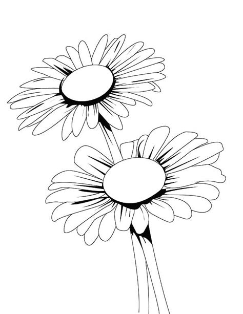 bitcoin   daisy coloring pages disney png