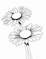 Daisy Daisies Printable Sweetest Bestcoloringpagesforkids sketch template