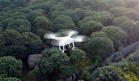 drones  patrol forests  monitor environmental  ecological  pangaea biosciences