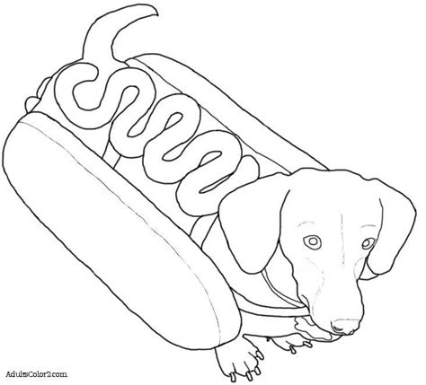 image result  weenie dog coloring page