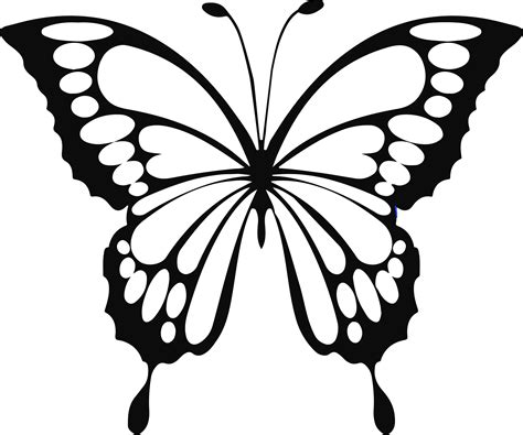 butterfly svg files butterfly coloring page butterfly drawing