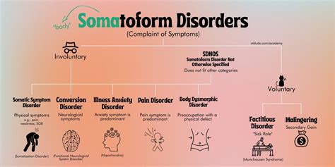 somatoform disorders diagram otdude academy ot dude