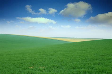 green field wallpapers wallpaper cave