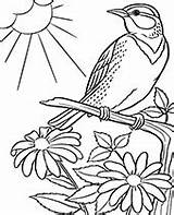Bird Coloring Pages Birds Printable Color Print Topcoloringpages Branch sketch template