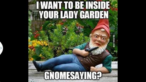 Gnomesaying Funny Pictures Terrible Puns Gnomes