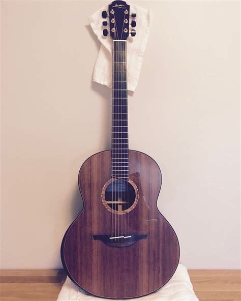 ukulele  instruments guitar