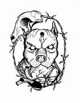 Pitbull Pitbulls Bull Stier Tatoeages Skull Bully Coloringfolder Clipartmag sketch template