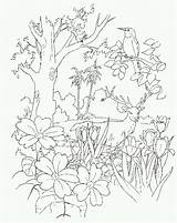Coloring Eden Garden Pages Colouring Bible Clipart Template Clip Library Sketch Popular sketch template
