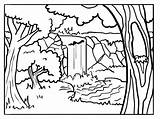 Foret Printables Rainforest Bestcoloringpagesforkids Deciduous Ancenscp Clipartmag Printablesfree sketch template