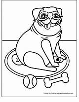 Pug Colouring sketch template
