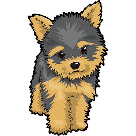 cute yorkshire terrier dog png clipart png  png