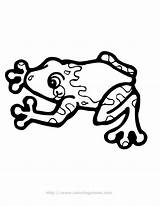 Coloring Pages Frog Tree Printable Library Clipart Illustration Popular sketch template