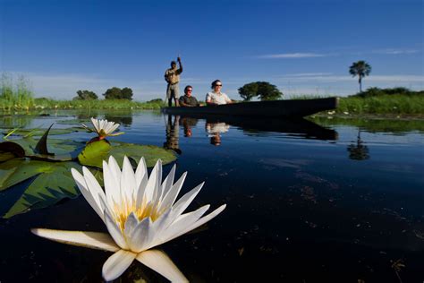 Botswana Deserts And The Okavango Delta Famous For Safari