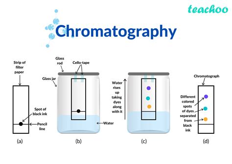 types  chromatography   bioprocessing design talk