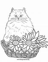 Coloring Cat Pages Flowers Cats Persian Book Flower Color Printable Sheet Getcolorings Fresh Choose Board sketch template