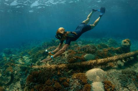 Sexy Woman Snorkeling Stock Images Download 19 Royalty