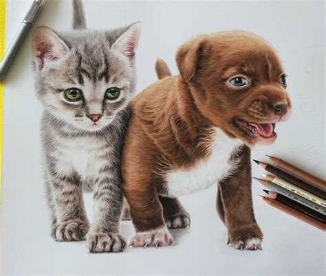 cute kittens  puppies drawings puppy drawing cute cat
