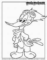 Woody Woodpecker Coloring Pages Woodywoodpecker Cartoons sketch template