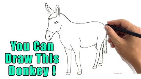 draw  donkey drawing  beginners easy donkey outline