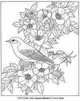 Bloemen Kleurplaat Vogel Van Kleurplaten Pages Vogels Colouring Tekenen Afkomstig Info Volwassenen sketch template