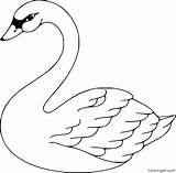 Swan Coloring Pages Printable Bird Drawing Stock Vector Lake Outline Colouring Illustration Color Template Patterns Google Easy Crafts Painting Clipartmag sketch template