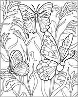 Coloring Pages Colouring Gardening Kids Print Vegetable Butterfly Sheets Printable Flower Gardens Book Vegetables Printablecolouringpages sketch template