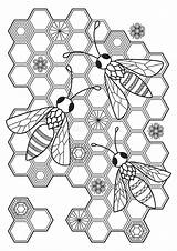 Zentangle Antistress Bees Honeycombs sketch template