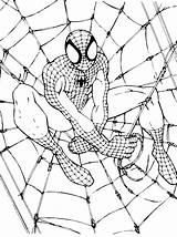 Spiderman Pages Coloring sketch template